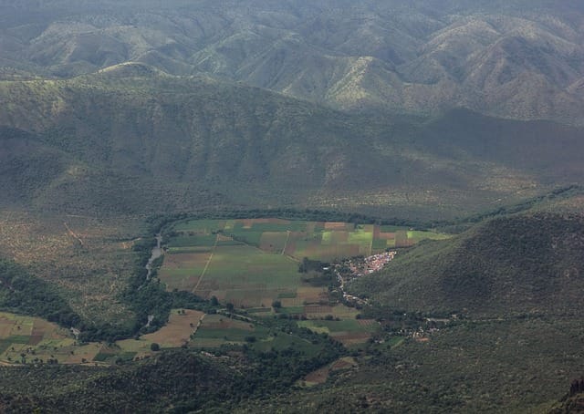 Kotagiri & Kodanad View Point Day Trip