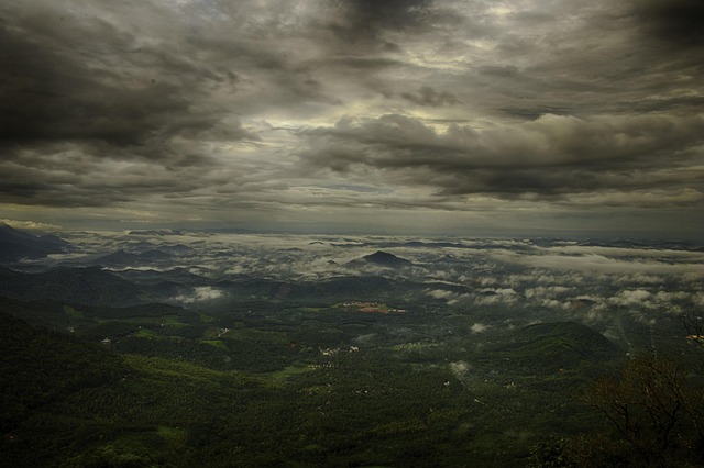 Wayanad Wildlife & Nature Tour